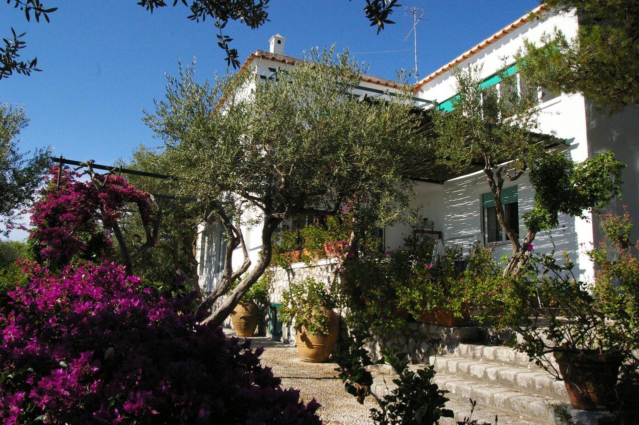 Il Rifugio B&B Capri Анакапри Екстериор снимка