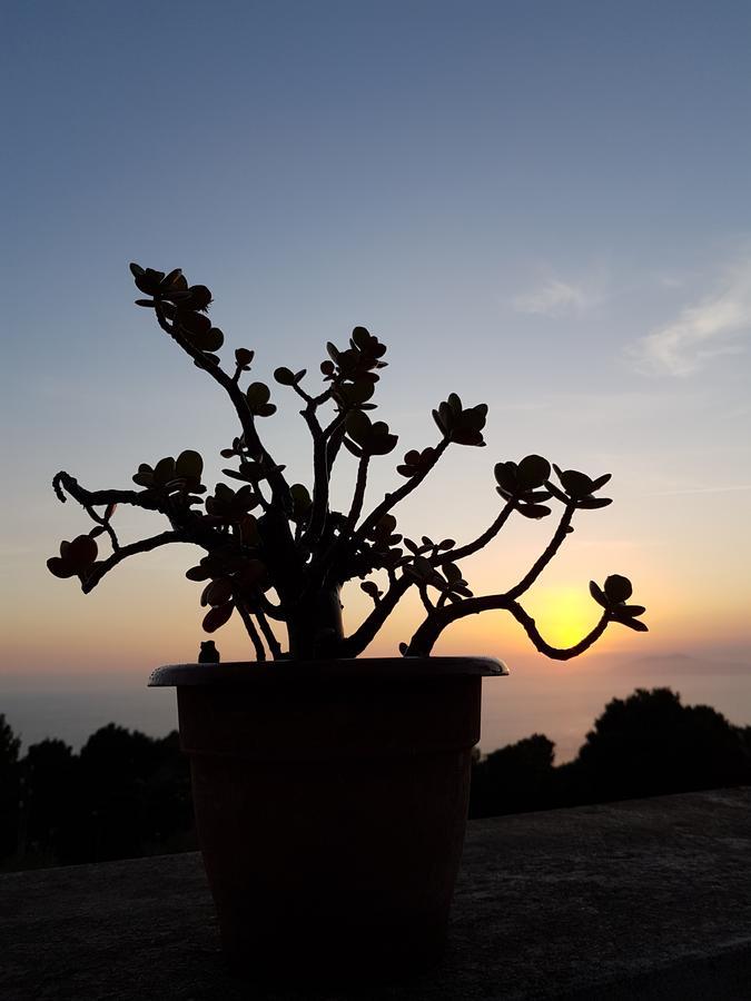 Il Rifugio B&B Capri Анакапри Екстериор снимка