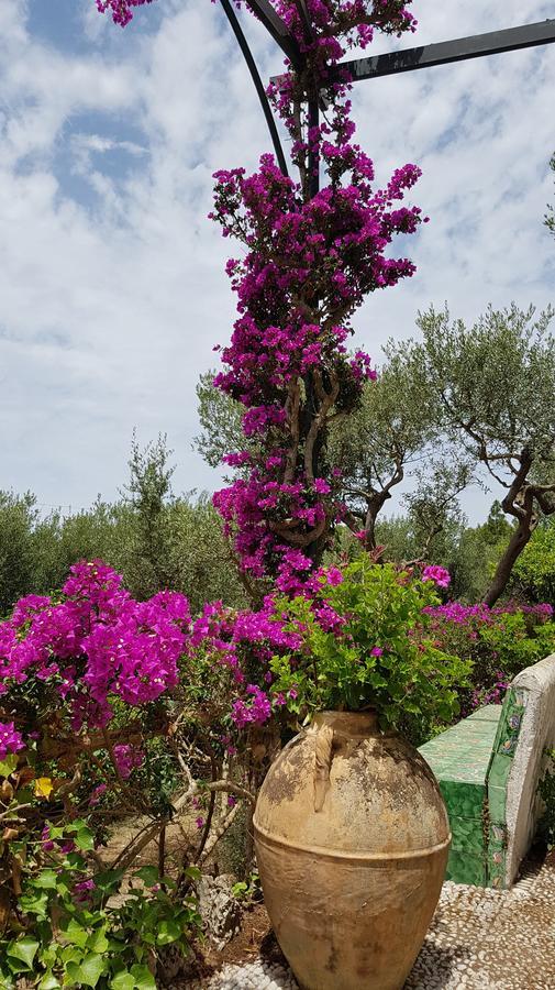 Il Rifugio B&B Capri Анакапри Екстериор снимка