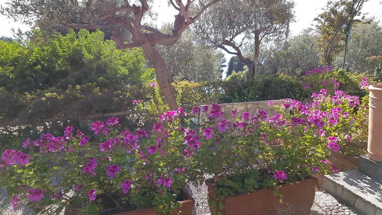 Il Rifugio B&B Capri Анакапри Екстериор снимка